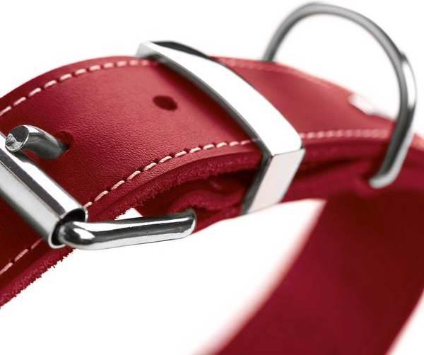 Actual product image Hunter Collar Aalborg Special (40, 41, 42, 43, 44, 45, 46, 47, 48, Dog, Dog sport)