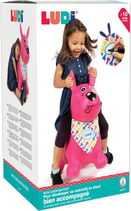 Image du produit LUDI Chien rebondissant
