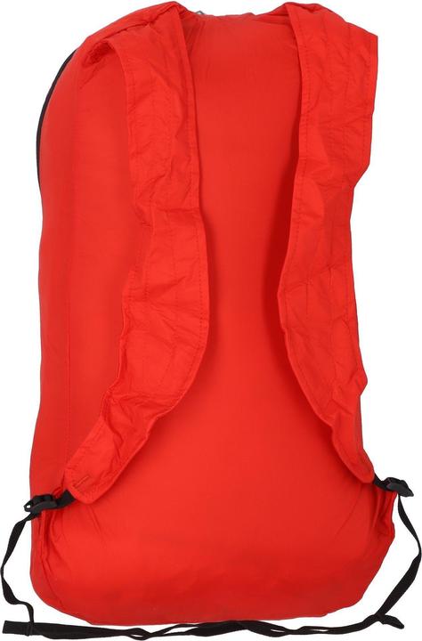 Actual product image Salewa Ultralight L Backpack (22 l)