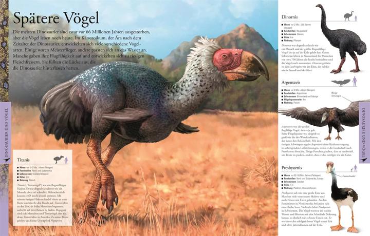 Immagine prodotto Dinosaurier und andere Tiere der Urzeit für clevere Kids (Tedesco, DK Verlag - Bambini, 2019)