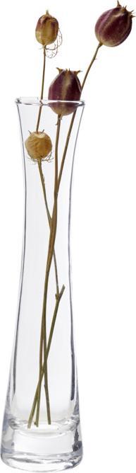 Immagine prodotto Ambia Lynn (8 x 23 cm)