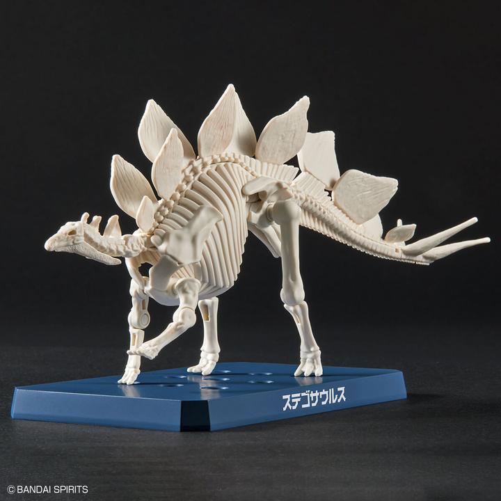Actual product image Bandai Stegosaurus