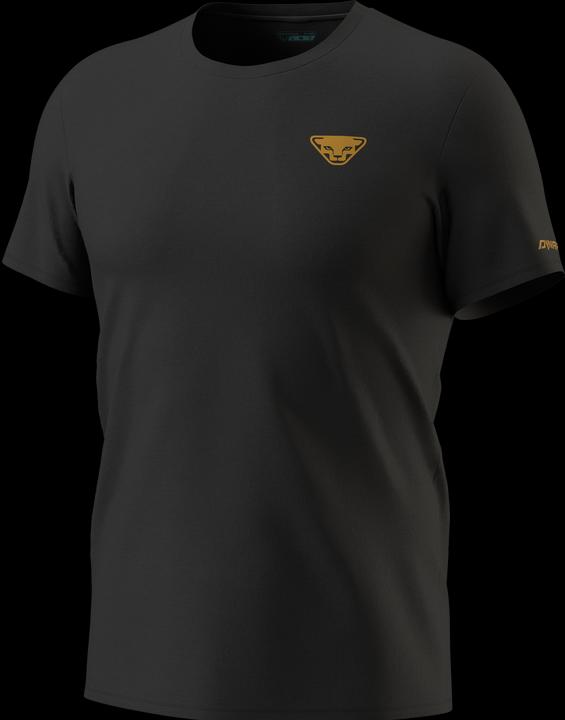 Actual product image Dynafit 24/7 Graphic T-Shirt (XL)