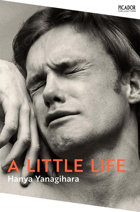 Image du produit A Little Life (Anglais, Hanya Yanagihara, 2022)