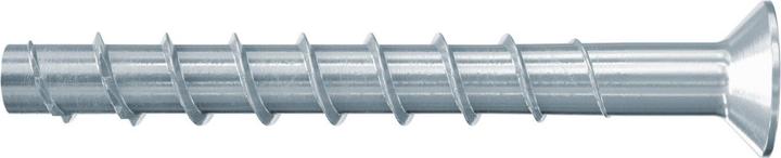 Produktbild Fischer 558229 (50 Stk.)
