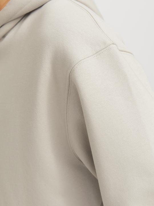 Actual product image Jack & Jones Jjestar Basic Sweat Hood Noos (XS)