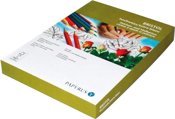 Immagine prodotto Scaldia Cartoncino Bristol A3, 180 g/m², 250 pezzi (180 g/m², 250 x)