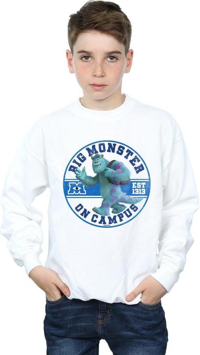 Image du produit Disney - Sweat MONSTERS UNIVERSITY MONSTER ON CAMPUS - Garçon (140, 146)