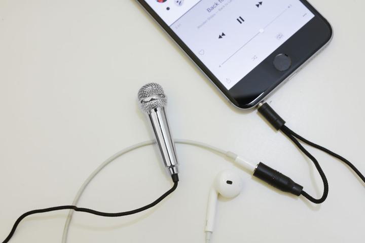 Actual product image Kikkerland Mini Karaoke Microphone