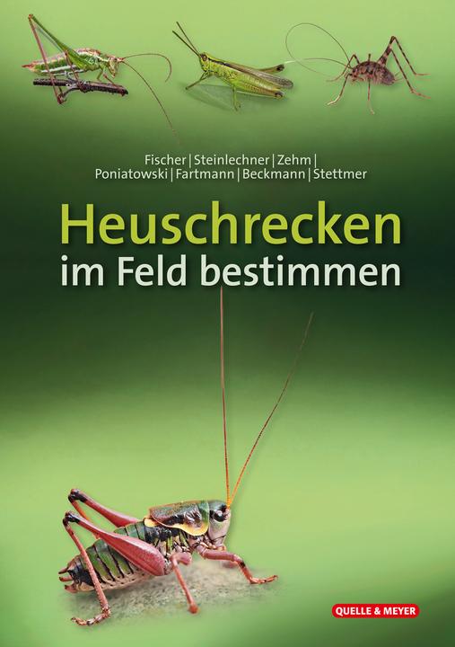 Produktbild Heuschrecken im Feld bestimmen (Deutsch, Jürgen Fischer, Thomas Fartmann, Andreas Zehm, Daniela Steinlechner, Dominik Poniatowski, Christian Stettmer, Armin Beckmann, 2023)