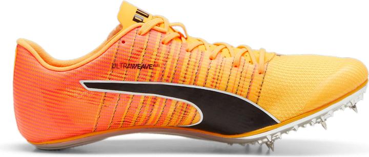 Produktbild Puma evoSPEED BRUSH 6 (37)