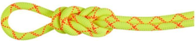 Mammut 9.5 Corde sèche Alpine Core Protect (50 m)