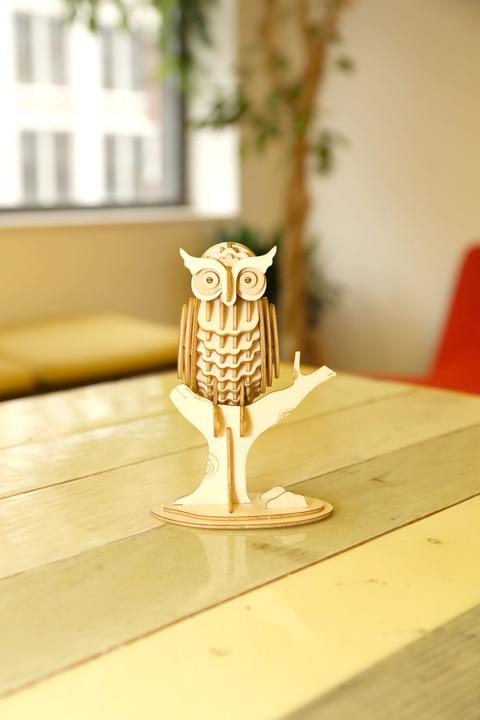 Produktbild Kikkerland Owl (3 Teile)