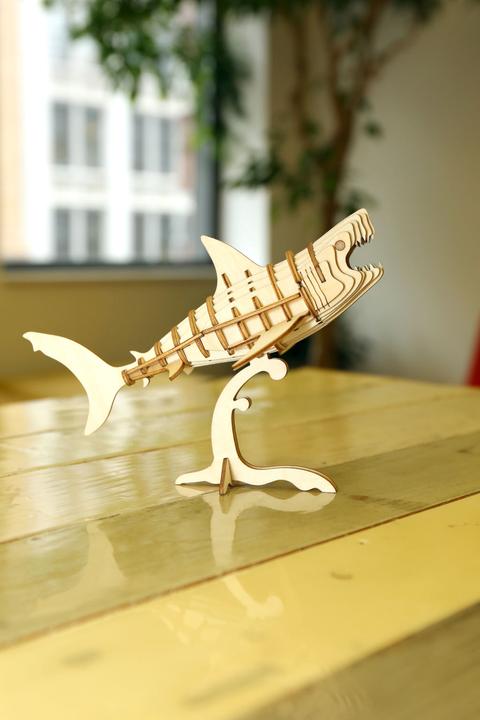 Image du produit Kikkerland Shark (3 pièces)