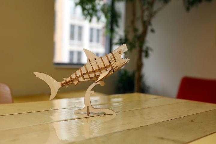 Image du produit Kikkerland Shark (3 pièces)