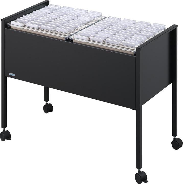 Image du produit Durable Chariot pour dossiers suspendus Economy 100 DUO A4 (21 x 29,5 cm)