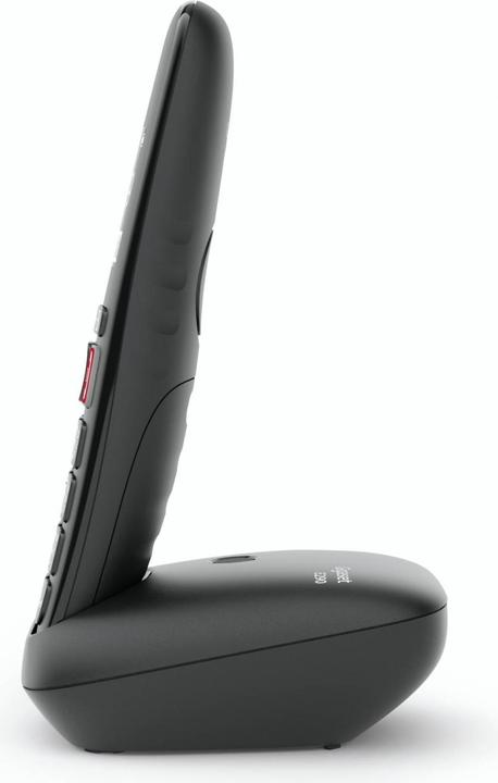 Actual product image Gigaset E290 Duo (DE-Version)