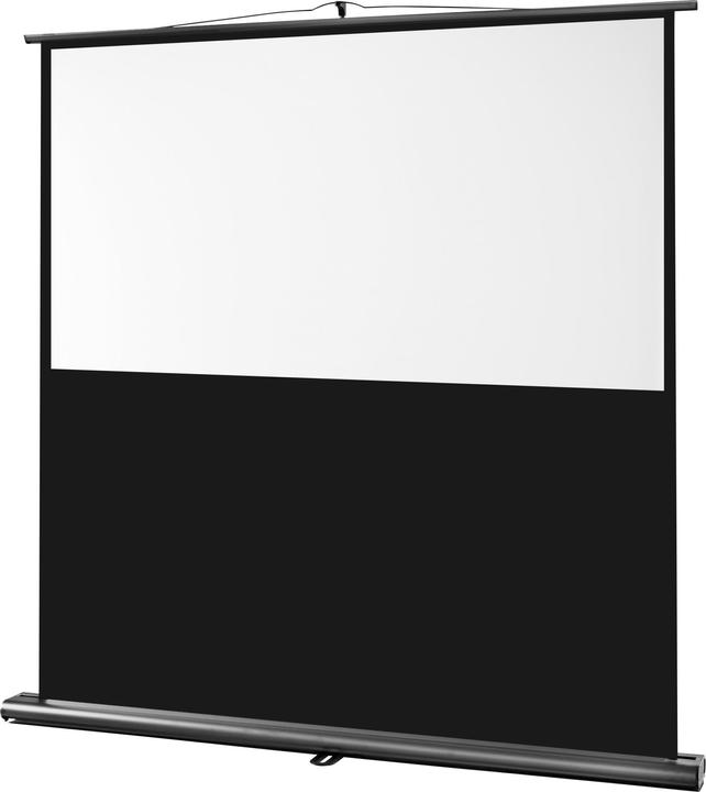 Celexon Ultramobile Professional (91", 16:10)