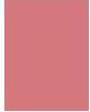 Actual product image L'Oréal Paris Color Riche (602 Le Nude Admirable)
