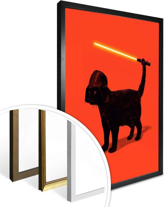 Produktbild Trenddeko Cat Vader (40 x 50 cm)