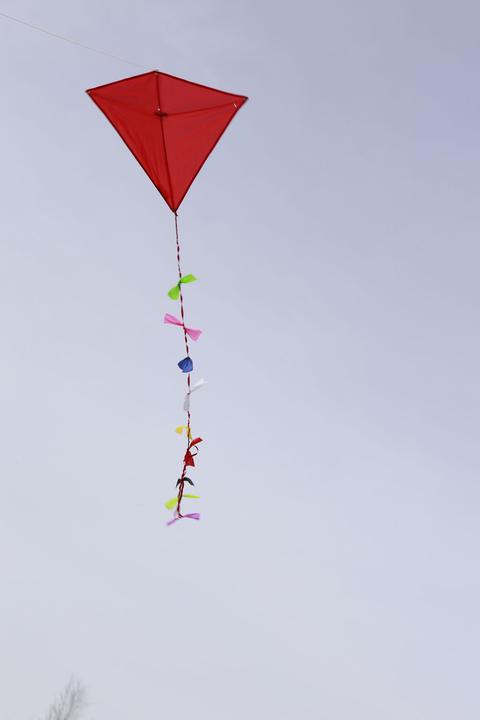 Actual product image Kikkerland Huckleberry Kite
