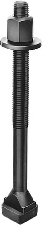 Actual product image Amf T-bolts DIN 787 14 M 12 x 100 mm (1 Screws per piece)