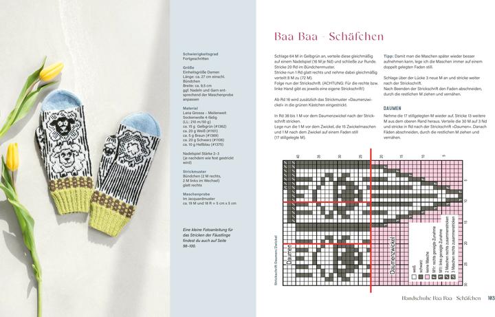 Produktbild Bunte Socken und witzige Handschuhe stricken (Deutsch, Andrea Hoedt-Konken, 2024)