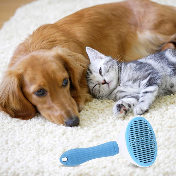 Actual product image Suba Dog Brush, Cat Brush (Cat, Dog)