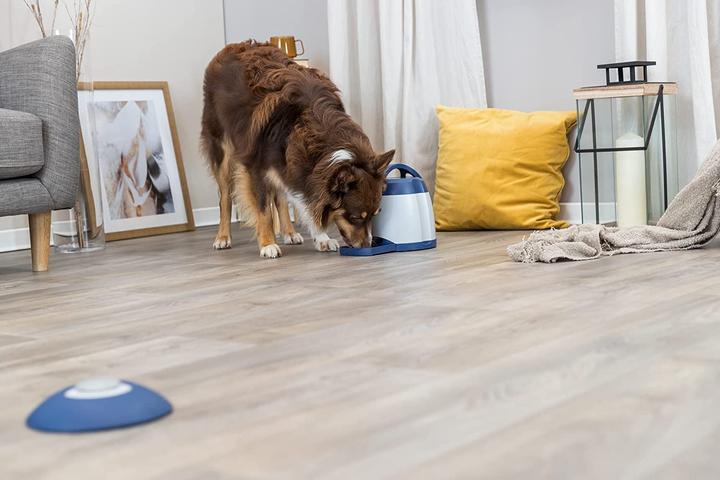 Produktbild Trixie Memory Trainer (Intelligenzspielzeug Hund)