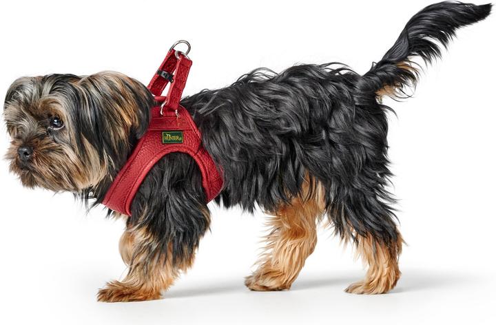 Actual product image Hunter Harness Love 37-40/XS-S, red/black, dog size: S, XS (Dog, Walks)