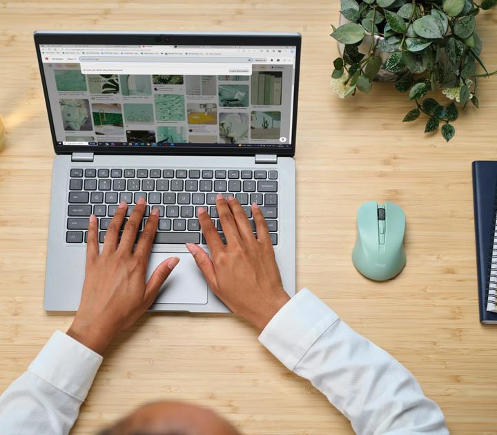 Actual product image Trust Mydo Silent Wireless Mouse Gree (Wireless)