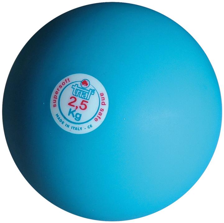Immagine prodotto Trial Palla paracolpi per interni, 2,5 kg (2500 g)