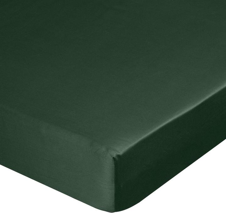 Productafbeelding Eurofirany Door (100 x 200 cm)