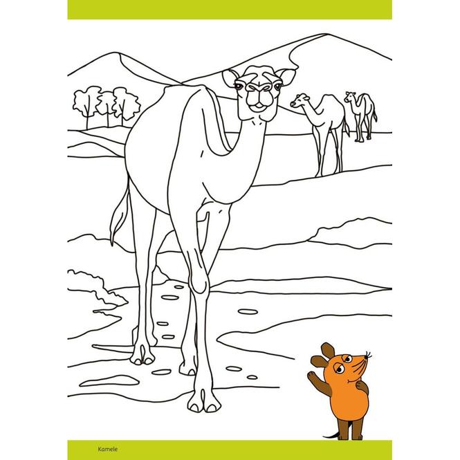 Image du produit Die Maus - Malblock mit Sachwissen Natur und Tiere (Allemand, pen2nature, 2024)