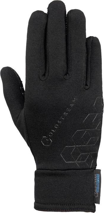 Produktbild Coldstream Winterhandschuhe Eccles Stormshield (M)