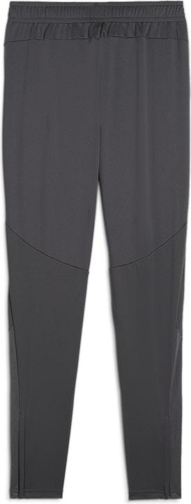 Actual product image Puma SFV Training Pants (L)