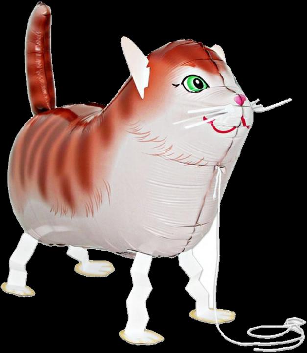 Produktbild Grabo Mini-Walker Katze rot 61 cm lang (1 x)