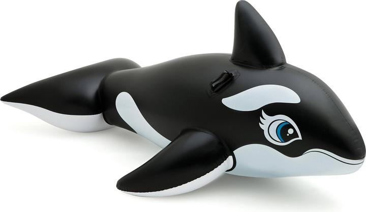 Actual product image Intex Whale