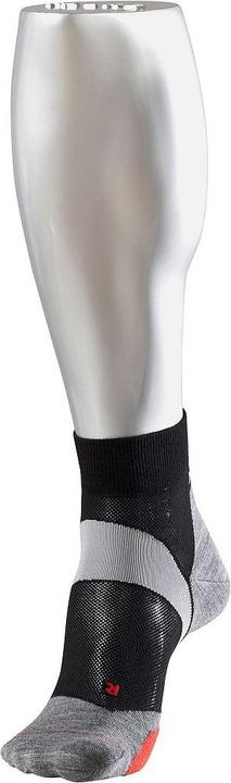 Actual product image Falke BC5 Short (38)