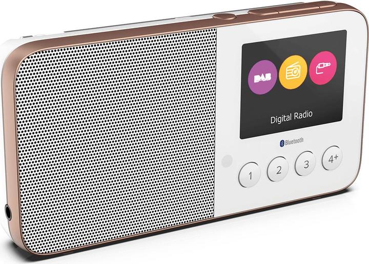 Produktbild Pure Move T4 (DAB+, Bluetooth)