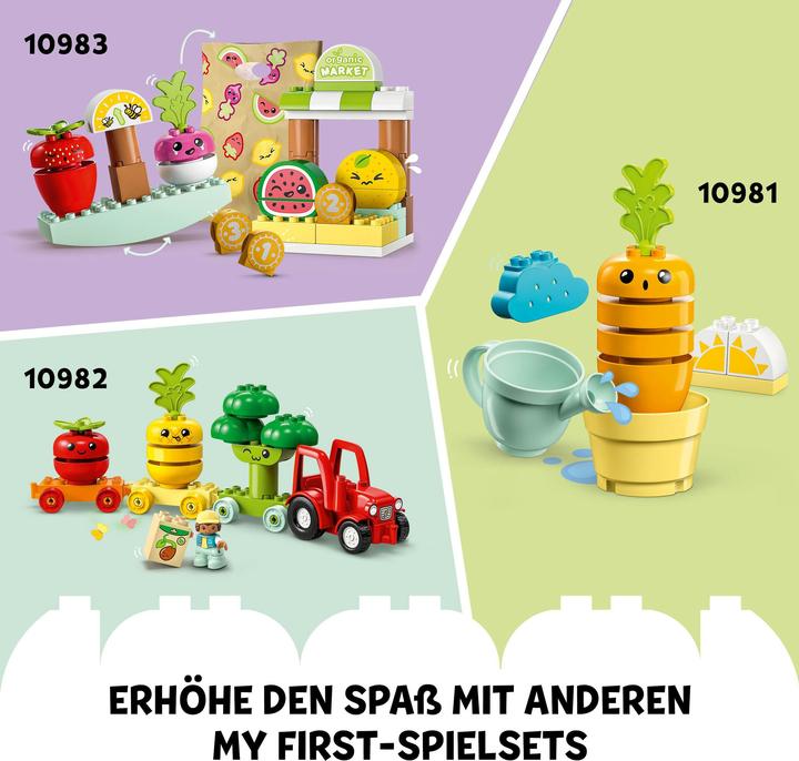 Actual product image LEGO Organic garden (10984)