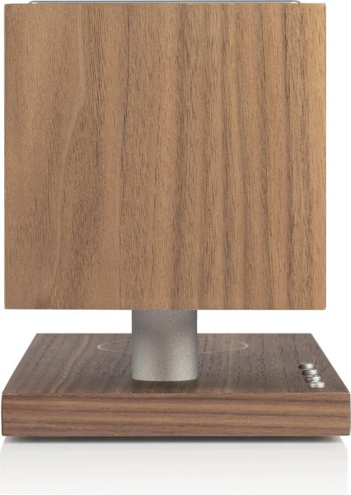 Actual product image Tivoli Audio Revive Walnut/Grey (Electrical connection)