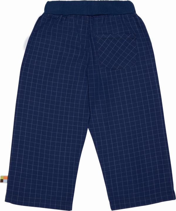 Actual product image loud + proud Fine check trousers (92)