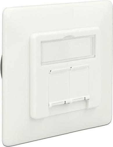 Image du produit Delock Boîte de raccordement réseau encastrée 2 ports Cat.6A LSA