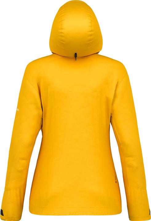 Image du produit Salewa VESTE ORTLES GTX 3L pour femme (40, L)