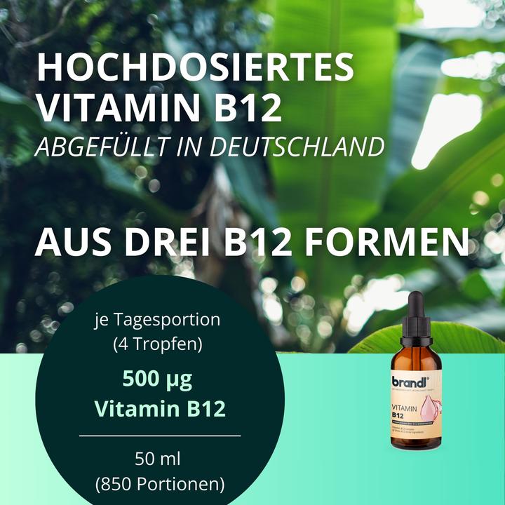 Produktbild Brandl Omega 3 + D3 K2 (1 Stück, Kapseln, 180 g)