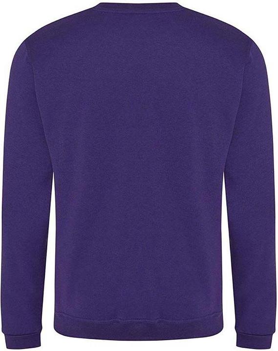 Actual product image Pro RTX Sweatshirt (L)
