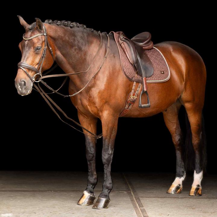 Actual product image Imperial Riding german oak sh core