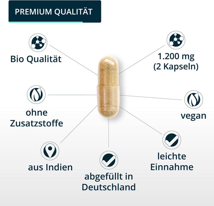 Immagine prodotto Brandl Bio Ingwer (Zenzero) (1 Pezzo/i, Pillole, 130 g)