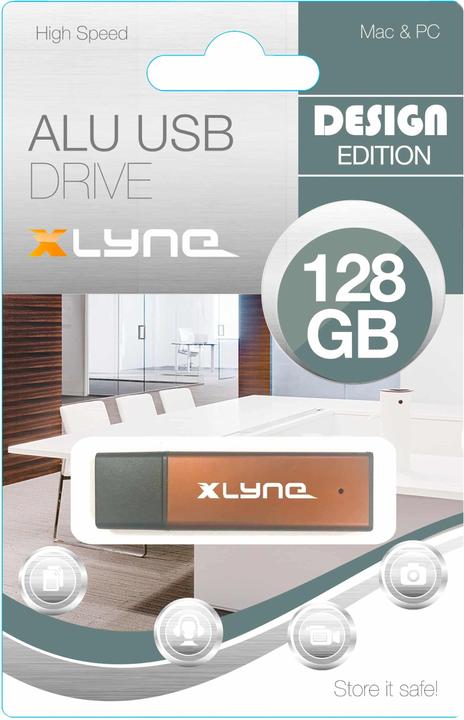 Image du produit Xlyne Clé USB ALU 128 Go Aluminium Bronze 177570-2 USB 2.0 (128 Go, USB 2.0)